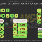 Bocoran angka togel HAWAII akurat dan jitu